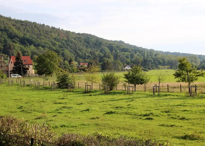 Ferienwohnung Dresden Pillnitz Am Weinberg