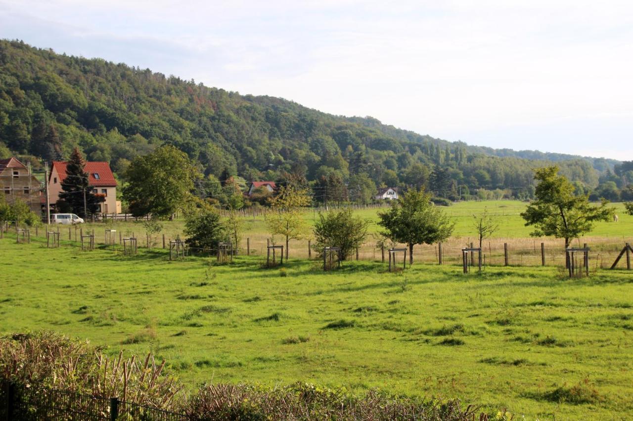 Pillnitz Am Weinberg Appartement Dresde